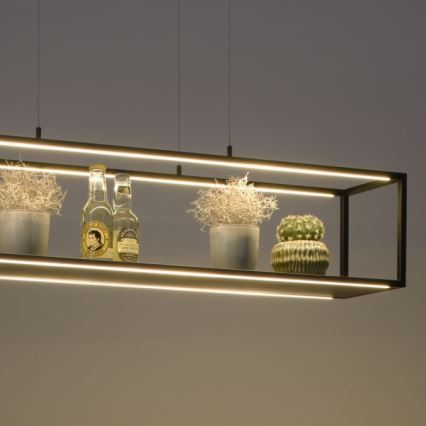 Paul Neuhaus 2441-18 - Candelabro suspenso LED com regulação CONTURA 4xLED/8W/230V