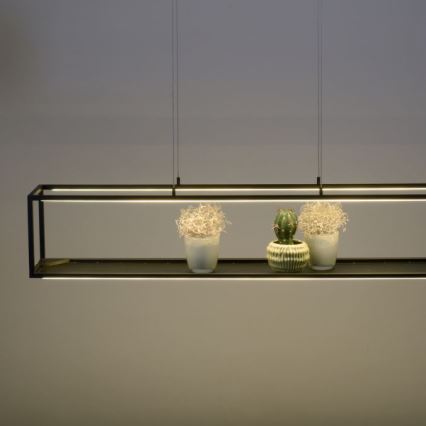 Paul Neuhaus 2441-18 - Candelabro suspenso LED com regulação CONTURA 4xLED/8W/230V