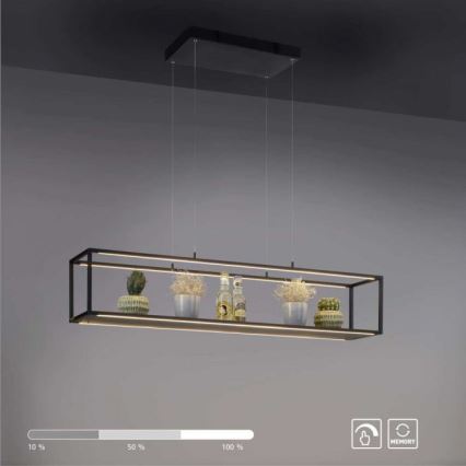 Paul Neuhaus 2441-18 - Candelabro suspenso LED com regulação CONTURA 4xLED/8W/230V