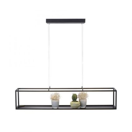 Paul Neuhaus 2441-18 - Candelabro suspenso LED com regulação CONTURA 4xLED/8W/230V