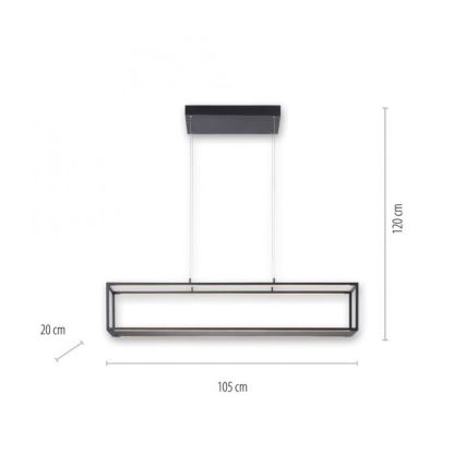 Paul Neuhaus 2441-18 - Candelabro suspenso LED com regulação CONTURA 4xLED/8W/230V