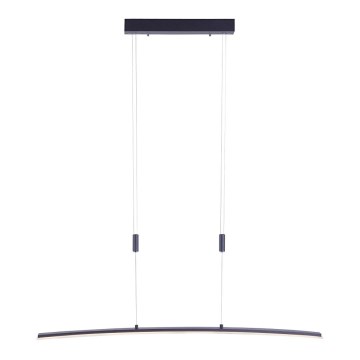 Paul Neuhaus 2530-13 - Candelabro suspenso LED com regulação JANINA LED/27W/230V