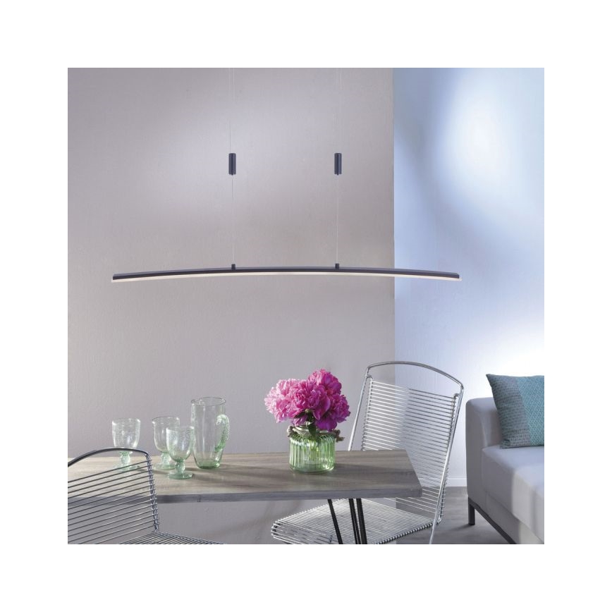 Paul Neuhaus 2530-13 - Candelabro suspenso LED com regulação JANINA LED/27W/230V