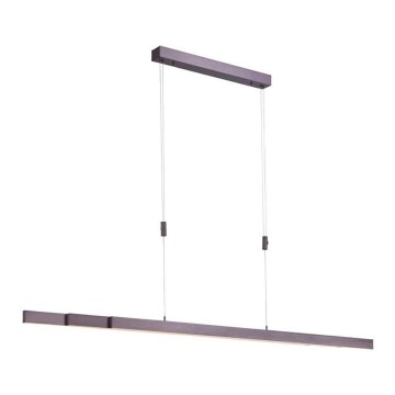 Paul Neuhaus 2568-24 - Candeeiro LED com regulação da luz num fio ADRIANA LED/14W/230V