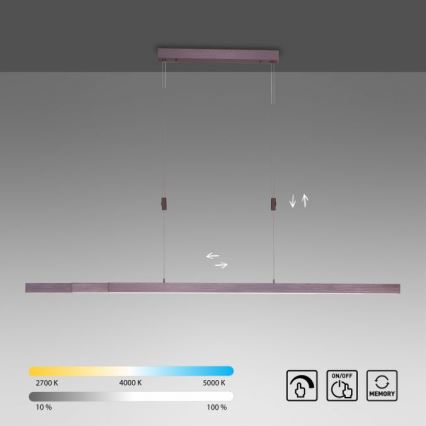 Paul Neuhaus 2568-24 - Candeeiro LED com regulação da luz num fio ADRIANA LED/14W/230V