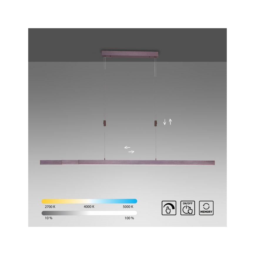 Paul Neuhaus 2568-24 - Candeeiro LED com regulação da luz num fio ADRIANA LED/14W/230V
