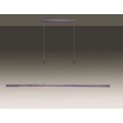 Paul Neuhaus 2568-24 - Candeeiro LED com regulação da luz num fio ADRIANA LED/14W/230V