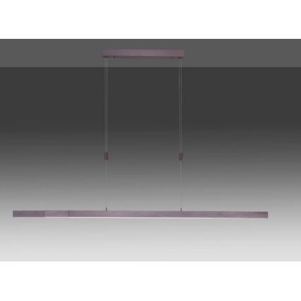 Paul Neuhaus 2568-24 - Candeeiro LED com regulação da luz num fio ADRIANA LED/14W/230V