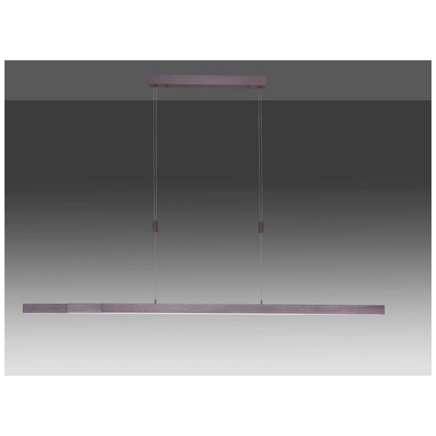Paul Neuhaus 2568-24 - Candeeiro LED com regulação da luz num fio ADRIANA LED/14W/230V