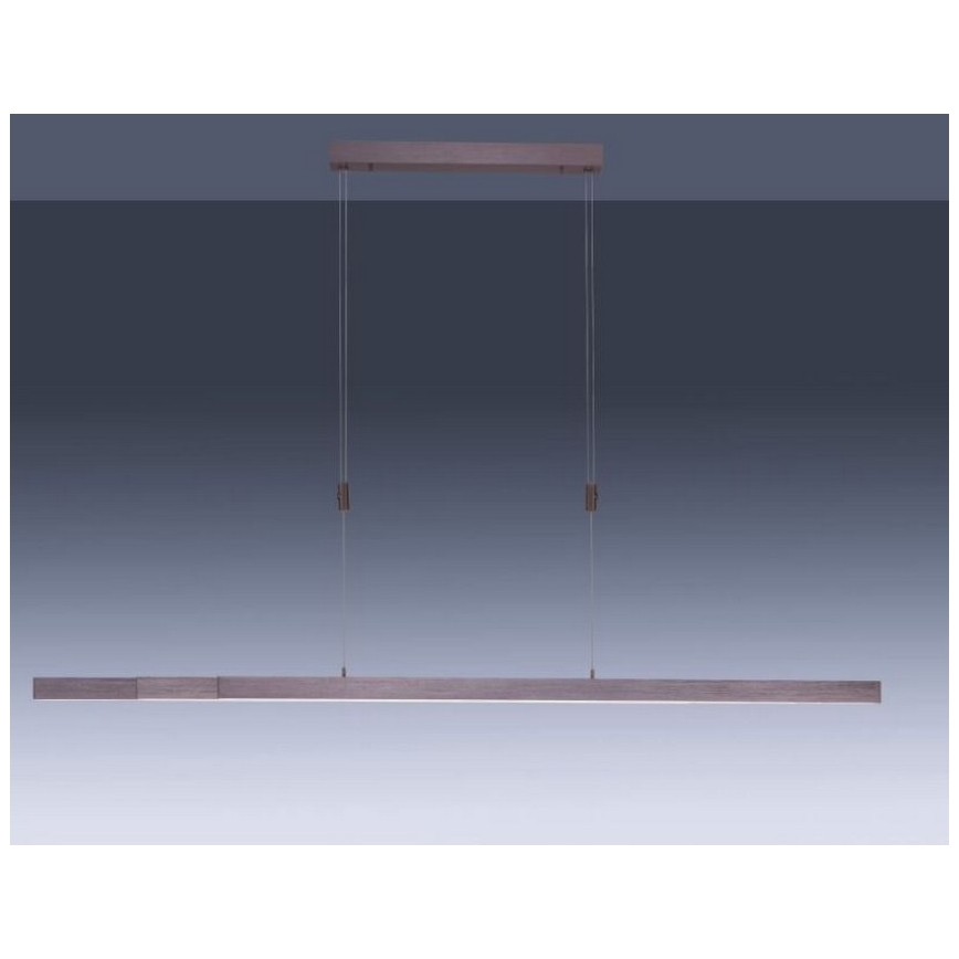 Paul Neuhaus 2568-24 - Candeeiro LED com regulação da luz num fio ADRIANA LED/14W/230V