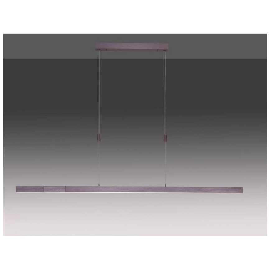 Paul Neuhaus 2568-24 - Candeeiro LED com regulação da luz num fio ADRIANA LED/14W/230V