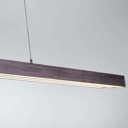 Paul Neuhaus 2568-24 - Candeeiro LED com regulação da luz num fio ADRIANA LED/14W/230V