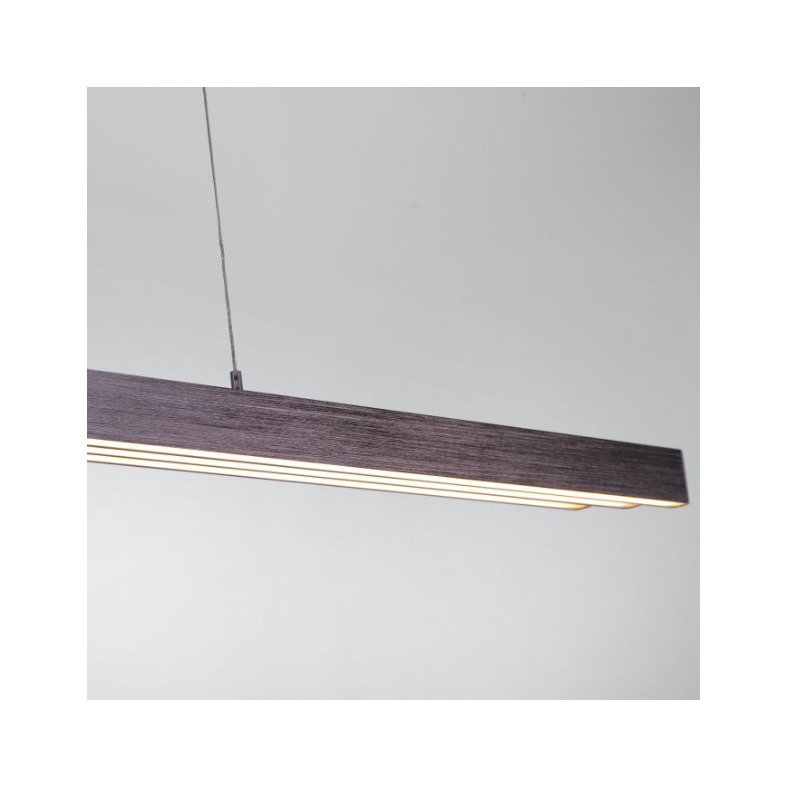 Paul Neuhaus 2568-24 - Candeeiro LED com regulação da luz num fio ADRIANA LED/14W/230V