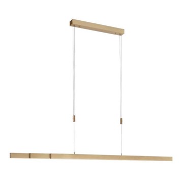 Paul Neuhaus 2568-60 - Candeeiro LED com regulação da luz num fio ADRIANA LED/14W/230V latão