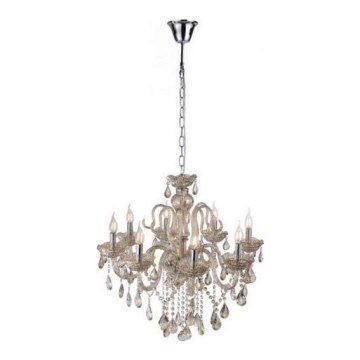 Paul Neuhaus 3081-97 - Candelabro suspenso de cristal GRACIA 8xE14/40W/230V dourado