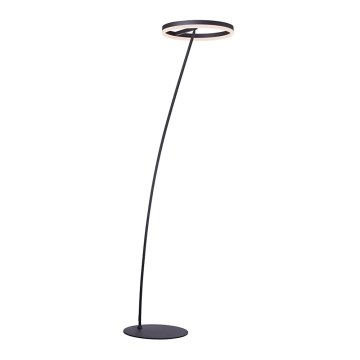 Paul Neuhaus 381-13 - Candeeiro de chão LED com regulação TITUS LED/19,5W/230V
