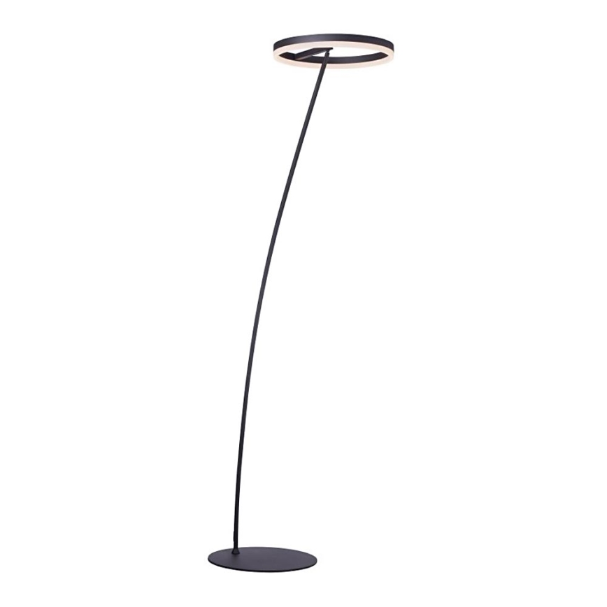 Paul Neuhaus 381-13 - Candeeiro de chão LED com regulação TITUS LED/19,5W/230V