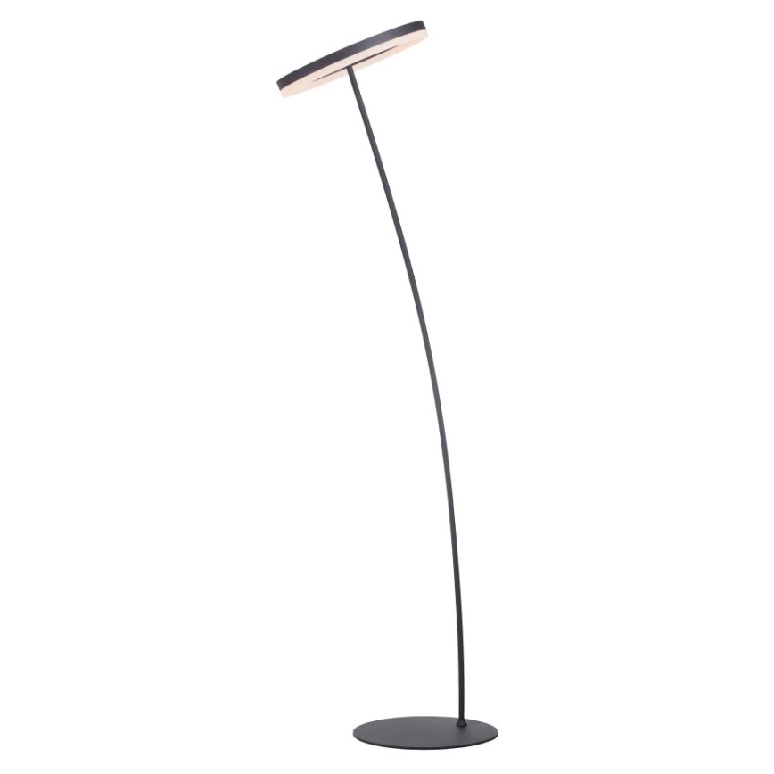 Paul Neuhaus 381-13 - Candeeiro de chão LED com regulação TITUS LED/19,5W/230V
