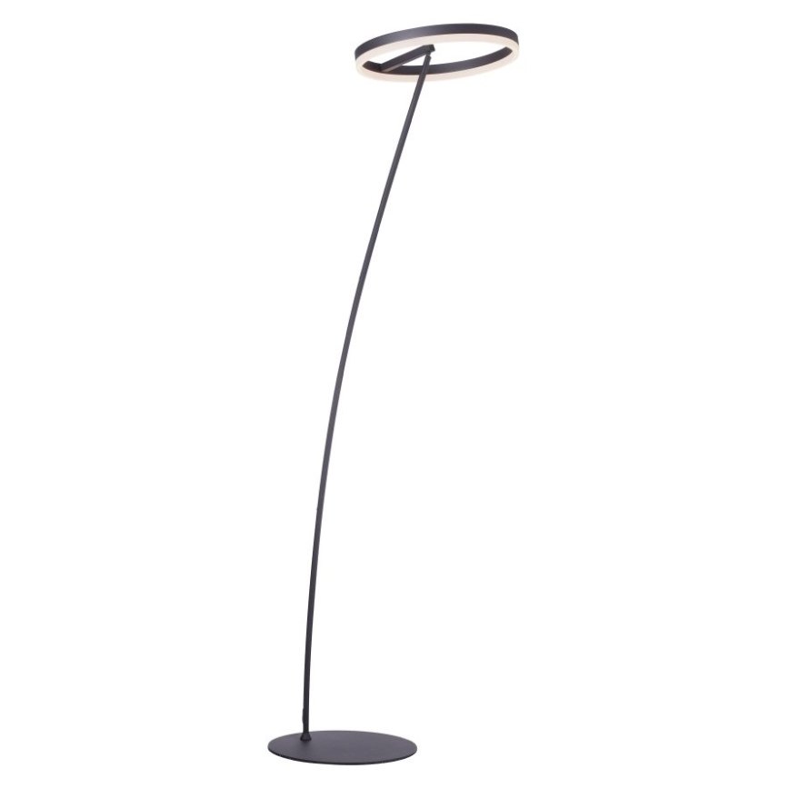 Paul Neuhaus 381-13 - Candeeiro de chão LED com regulação TITUS LED/19,5W/230V