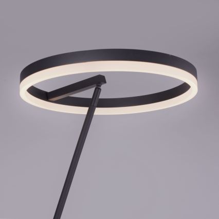 Paul Neuhaus 381-13 - Candeeiro de chão LED com regulação TITUS LED/19,5W/230V