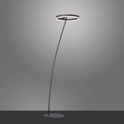 Paul Neuhaus 381-13 - Candeeiro de chão LED com regulação TITUS LED/19,5W/230V