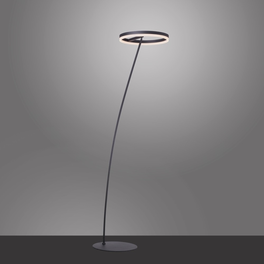 Paul Neuhaus 381-13 - Candeeiro de chão LED com regulação TITUS LED/19,5W/230V