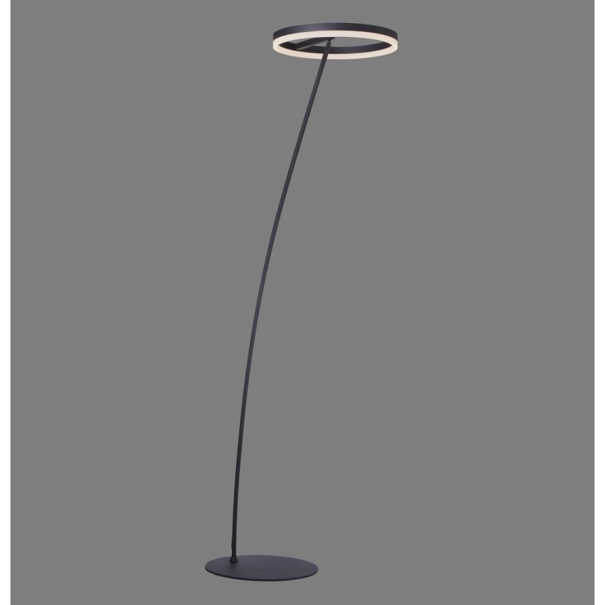 Paul Neuhaus 381-13 - Candeeiro de chão LED com regulação TITUS LED/19,5W/230V