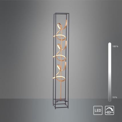 Paul Neuhaus 415-18 - Candeeiro de chão fosco LED SELINA 3xLED/10,2W/230V