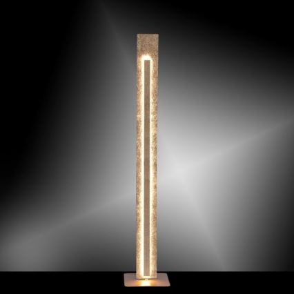 Paul Neuhaus 603-12 - Candeeiro de chão LED NEVIS LED/27W/230V