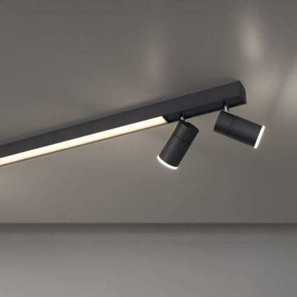 Paul Neuhaus 6121-13 - Foco LED com regulação PURE 4xLED/4W/230V + LED/9W 2700-5000K + comando