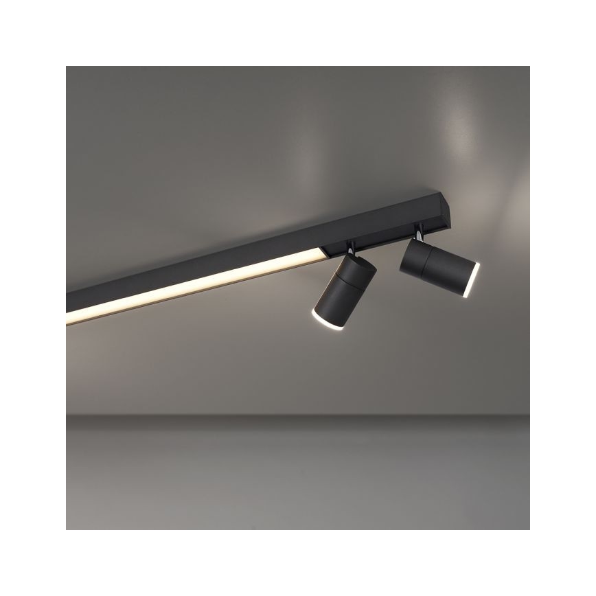 Paul Neuhaus 6121-13 - Foco LED com regulação PURE 4xLED/4W/230V + LED/9W 2700-5000K + comando