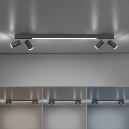 Paul Neuhaus 6121-13 - Foco LED com regulação PURE 4xLED/4W/230V + LED/9W 2700-5000K + comando