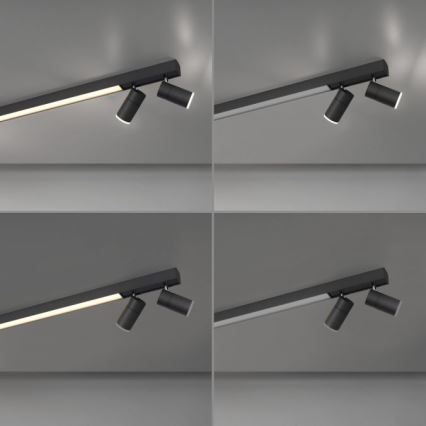 Paul Neuhaus 6121-13 - Foco LED com regulação PURE 4xLED/4W/230V + LED/9W 2700-5000K + comando