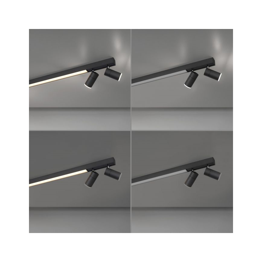 Paul Neuhaus 6121-13 - Foco LED com regulação PURE 4xLED/4W/230V + LED/9W 2700-5000K + comando