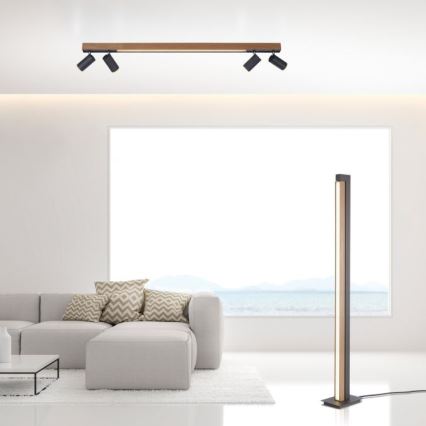 Paul Neuhaus 6121-79 - Foco LED com regulação PURE 4xLED/4W/230V + LED/9W 2700-5000K + comando