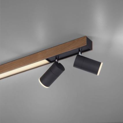 Paul Neuhaus 6121-79 - Foco LED com regulação PURE 4xLED/4W/230V + LED/9W 2700-5000K + comando