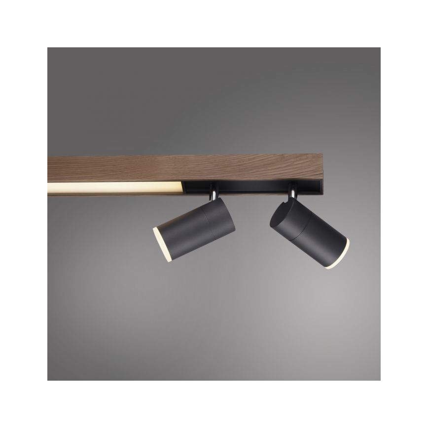 Paul Neuhaus 6121-79 - Foco LED com regulação PURE 4xLED/4W/230V + LED/9W 2700-5000K + comando