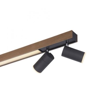Paul Neuhaus 6121-79 - Foco LED com regulação PURE 4xLED/4W/230V + LED/9W 2700-5000K + comando