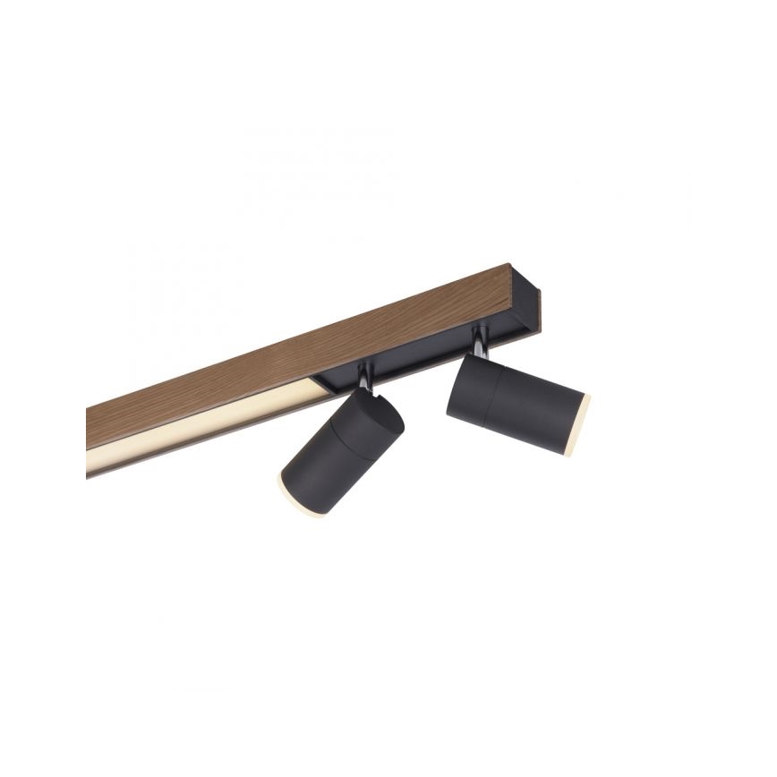 Paul Neuhaus 6121-79 - Foco LED com regulação PURE 4xLED/4W/230V + LED/9W 2700-5000K + comando