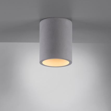 Paul Neuhaus 6160-22 - Foco ETON 1xGU10/10W/230V betão