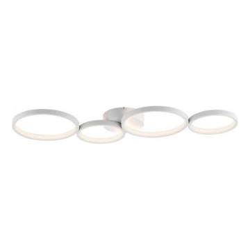 Paul Neuhaus 6183-16 - Iluminação de teto LED com regulação KIRINGE LED/26W/230V