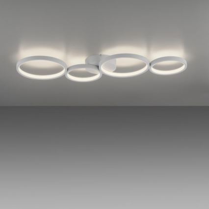 Paul Neuhaus 6183-16 - Iluminação de teto LED com regulação KIRINGE LED/26W/230V
