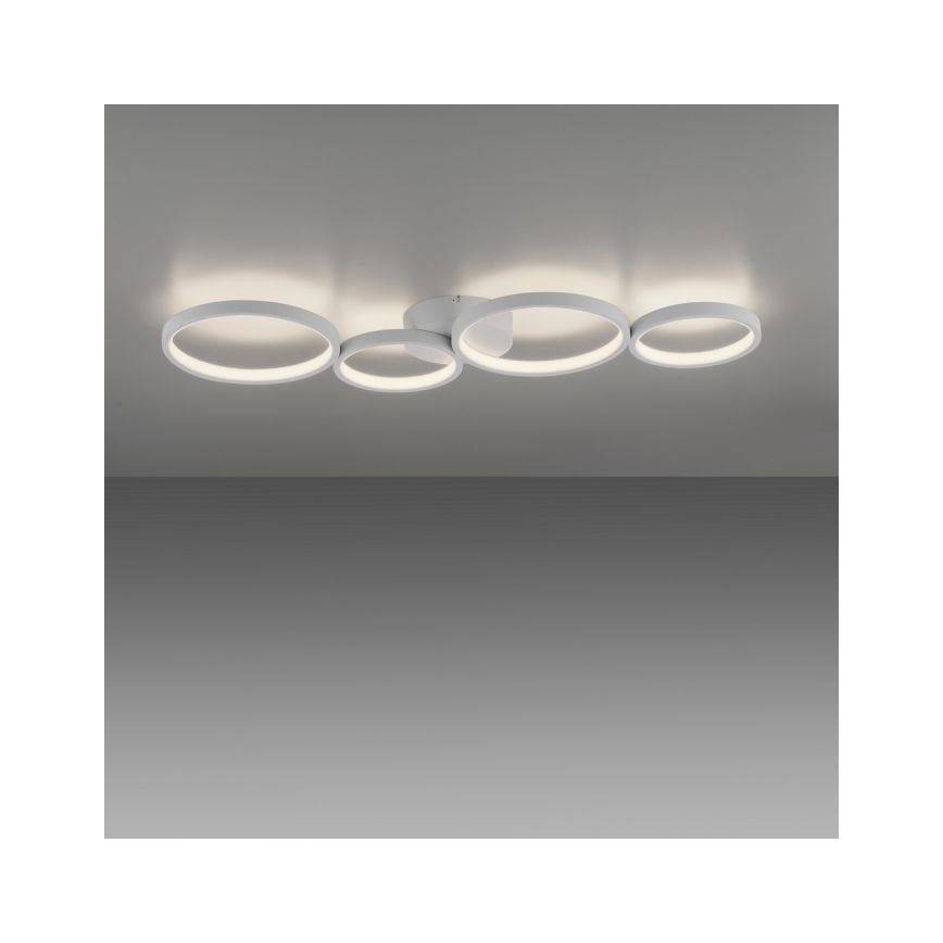 Paul Neuhaus 6183-16 - Iluminação de teto LED com regulação KIRINGE LED/26W/230V