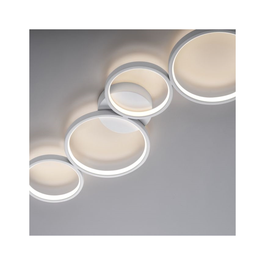 Paul Neuhaus 6183-16 - Iluminação de teto LED com regulação KIRINGE LED/26W/230V