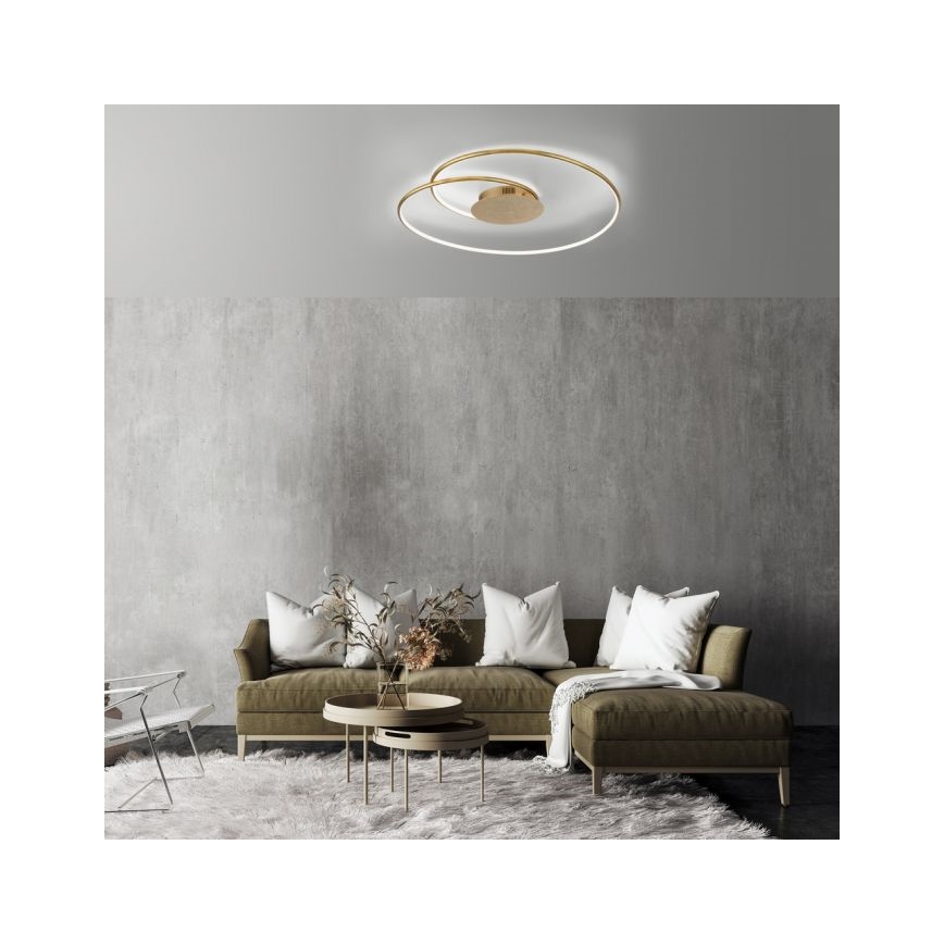 Paul Neuhaus 6189-12 - Iluminação de teto LED com regulação NASTRO LED/26W/230V