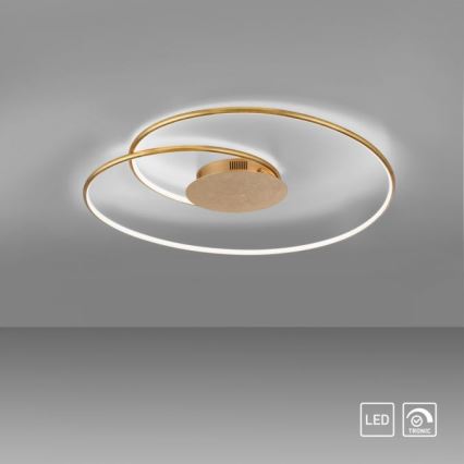 Paul Neuhaus 6189-12 - Iluminação de teto LED com regulação NASTRO LED/26W/230V