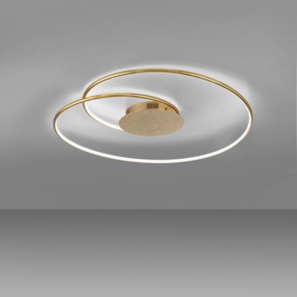 Paul Neuhaus 6189-12 - Iluminação de teto LED com regulação NASTRO LED/26W/230V