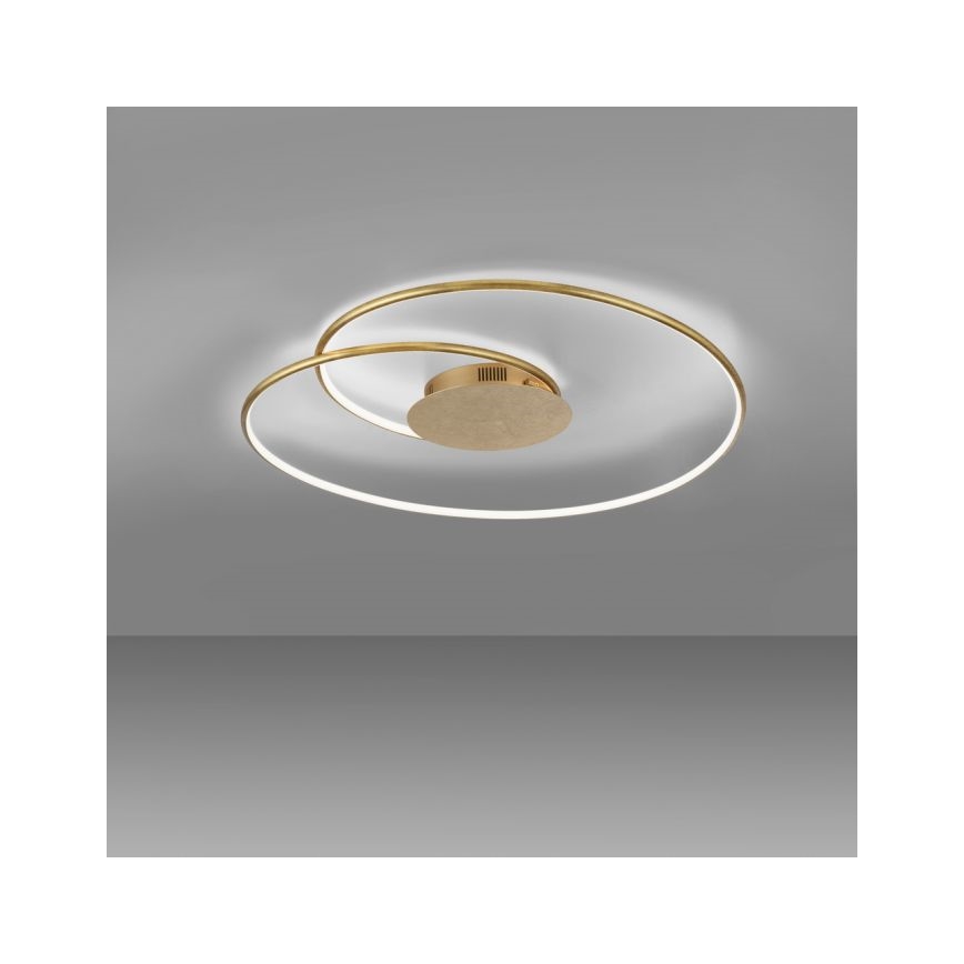 Paul Neuhaus 6189-12 - Iluminação de teto LED com regulação NASTRO LED/26W/230V