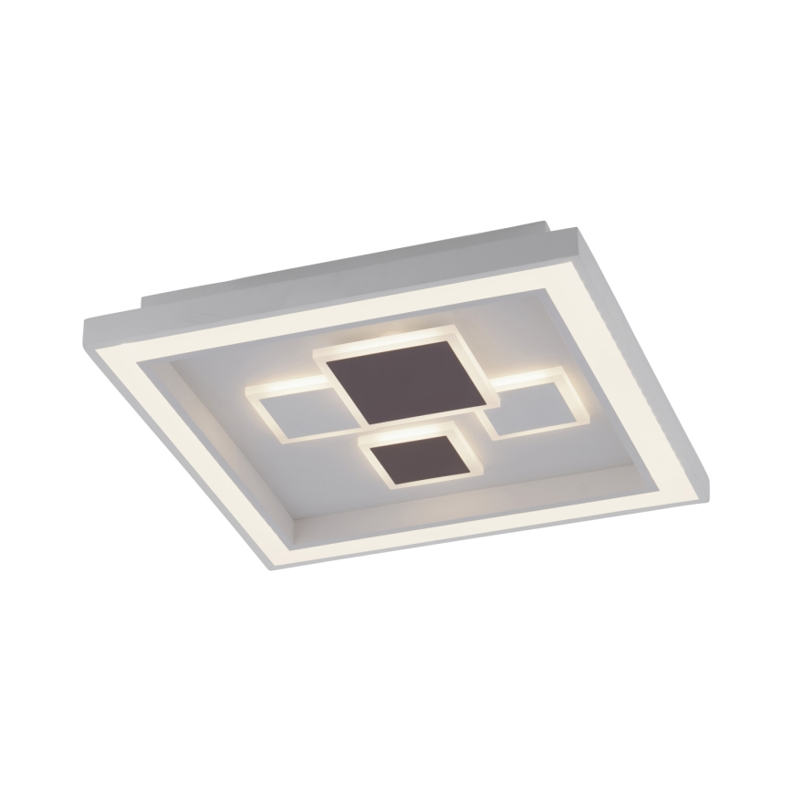 Paul Neuhaus 6283-16 - Luz de teto fosca LED ELIZA LED/30W/230V + LED/18,5W