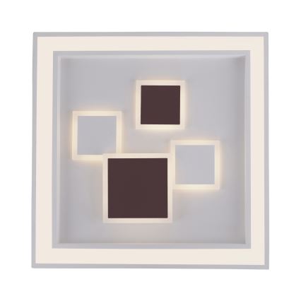 Paul Neuhaus 6283-16 - Luz de teto fosca LED ELIZA LED/30W/230V + LED/18,5W